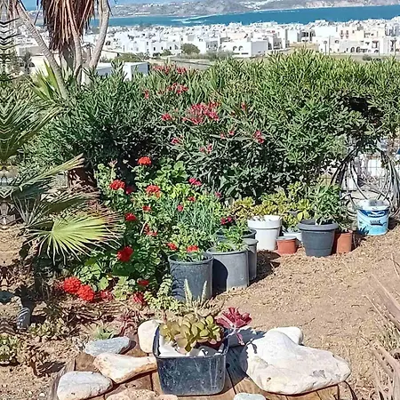 Appartement Naxian Sofias Garden Naxos City