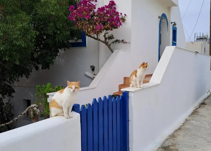 Naxian Sofias Garden Naxos City