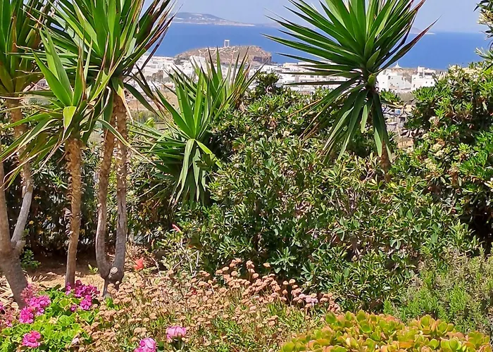 Naxian Sofias Garden Apartment Naxos City