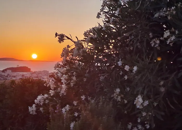 Apartment Naxian Sofias Garden *