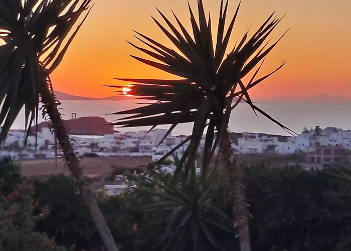 Apartment Naxian Sofias Garden Naxos City
