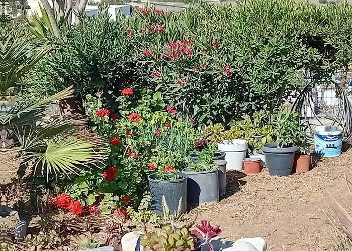 Apartment Naxian Sofias Garden Naxos City