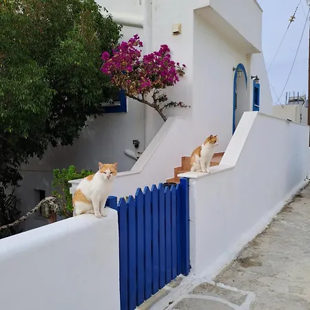 Naxian Sofias Garden Naxos City