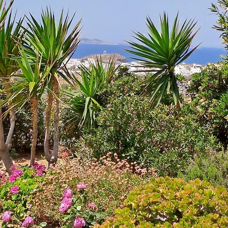Naxian Sofias Garden Lejlighed Naxos City