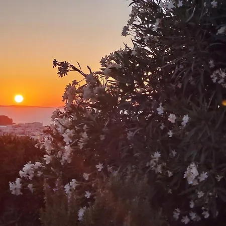 アパート Naxian Sofias Garden *