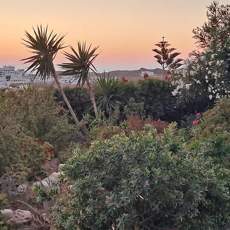 Naxian Sofias Garden * Naxos City