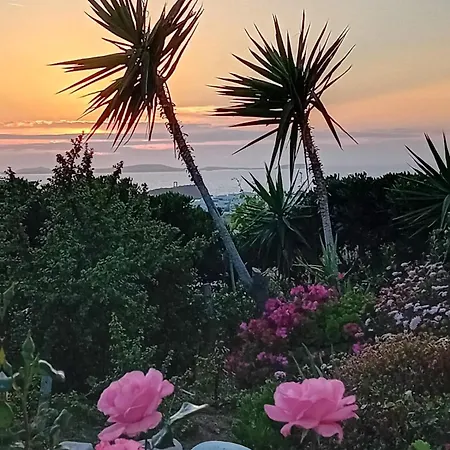 Naxian Sofias Garden Naxos City