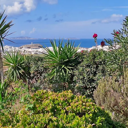 Lejlighed Naxian Sofias Garden *