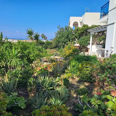 Naxian Sofias Garden Apartment *