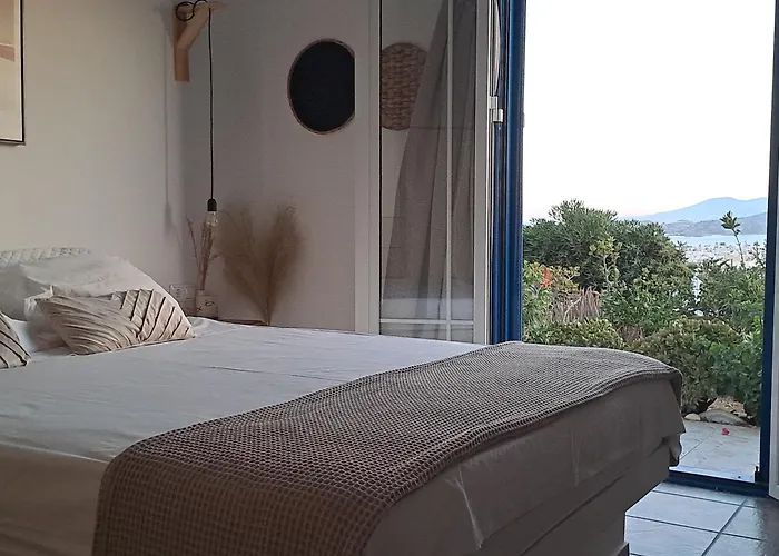 Naxian Sofias Garden Apartment *